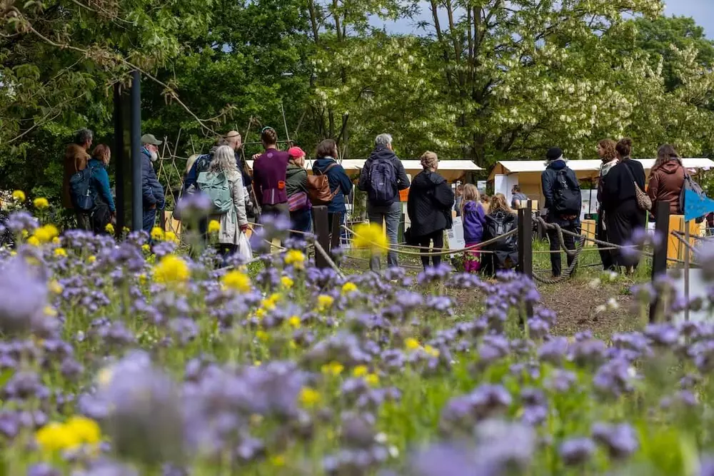 Eine Gruppe von Menschen macht eine Führung auf dem Weltacker. Sie stehen auf einem Weg zwischen vielen blauen und gelben Blumen. Im Hintergrund stehen kleine Hütten und grüne Bäume.